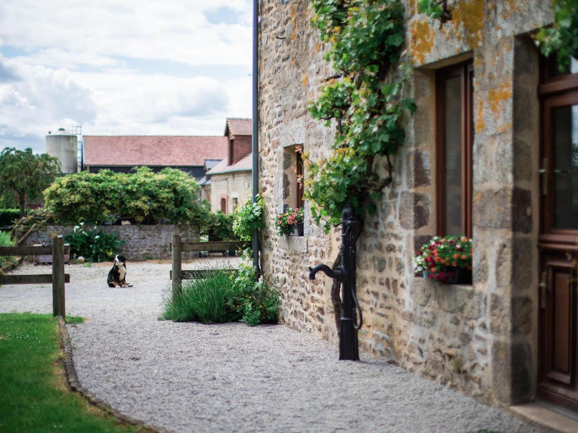 Maison De Campagne Familiale Aux Alpes Mancelles - 3 Chambres, Cheminee Et Activites Proches - Fr-1-410-149 Сен-Леонар-Де-Буа Экстерьер фото